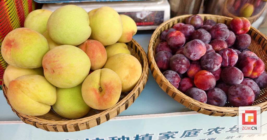 微信图片_20250628202513.jpg