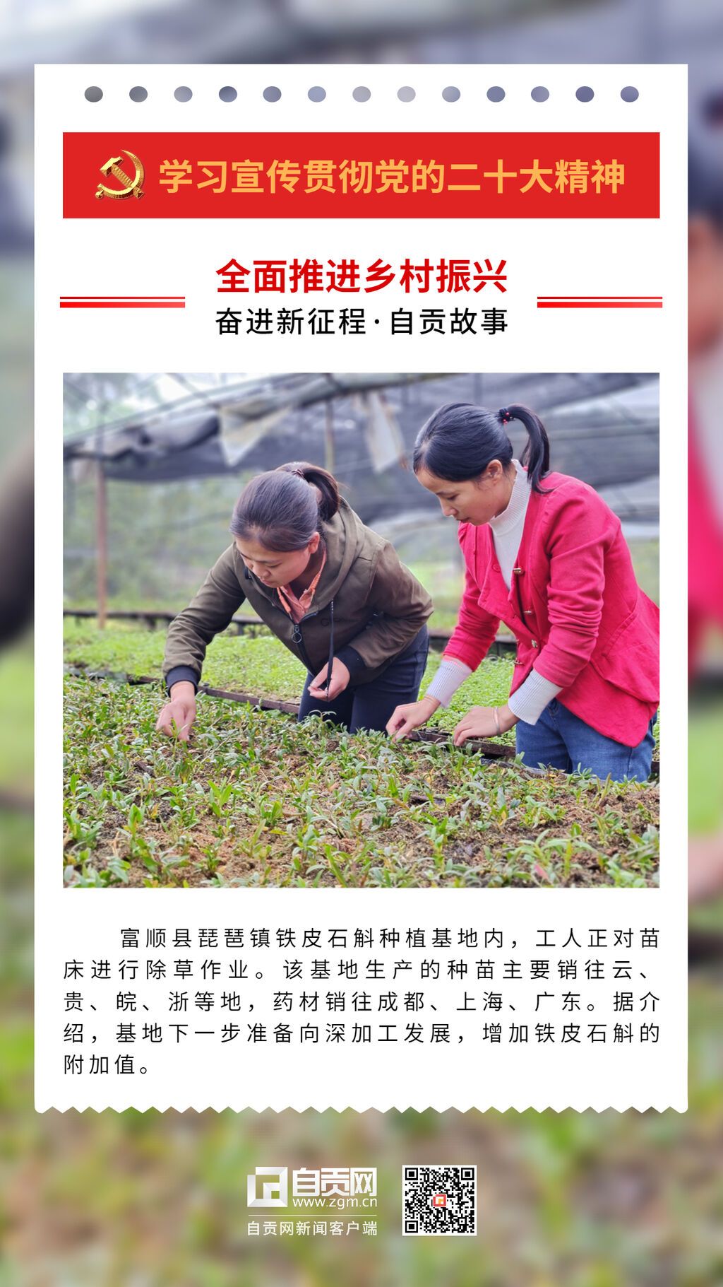 學(xué)習(xí)宣傳貫徹黨的二十大精神系列海報 (1).jpg