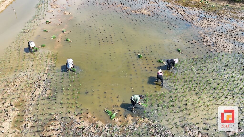 dji_fly_20250610_095446_0053_1749566163356_photo.jpg