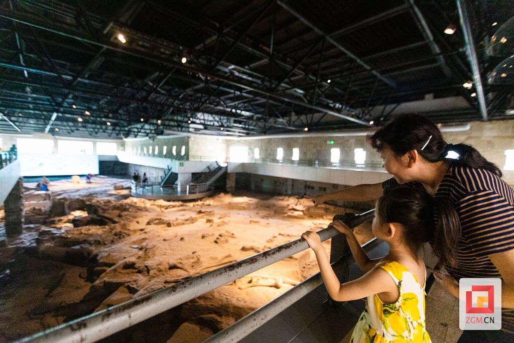 恐龍博物館吸引眾多游客.jpg