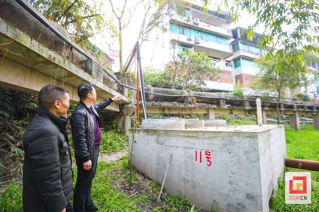 贡井区水务局工作人员现场查看污水管道
