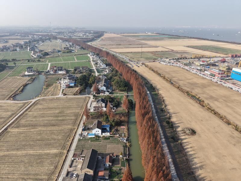 (新海村图片说明1)新海村冬日景象(苏州日报记者 王泽雨 摄).jpg