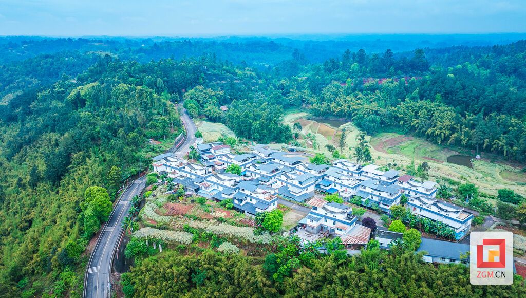 乡道穿绿林，村庄映绿意 记者 宋姿熠 摄.jpg