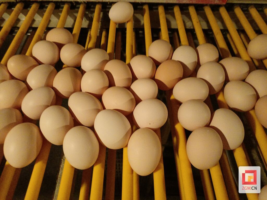 微信圖片_20240603142139.jpg
