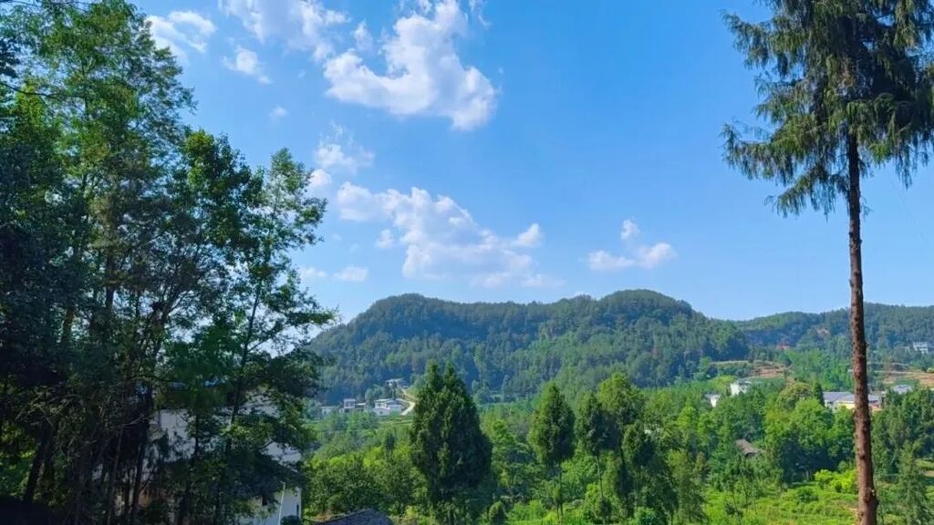 6月18日(15).jpg