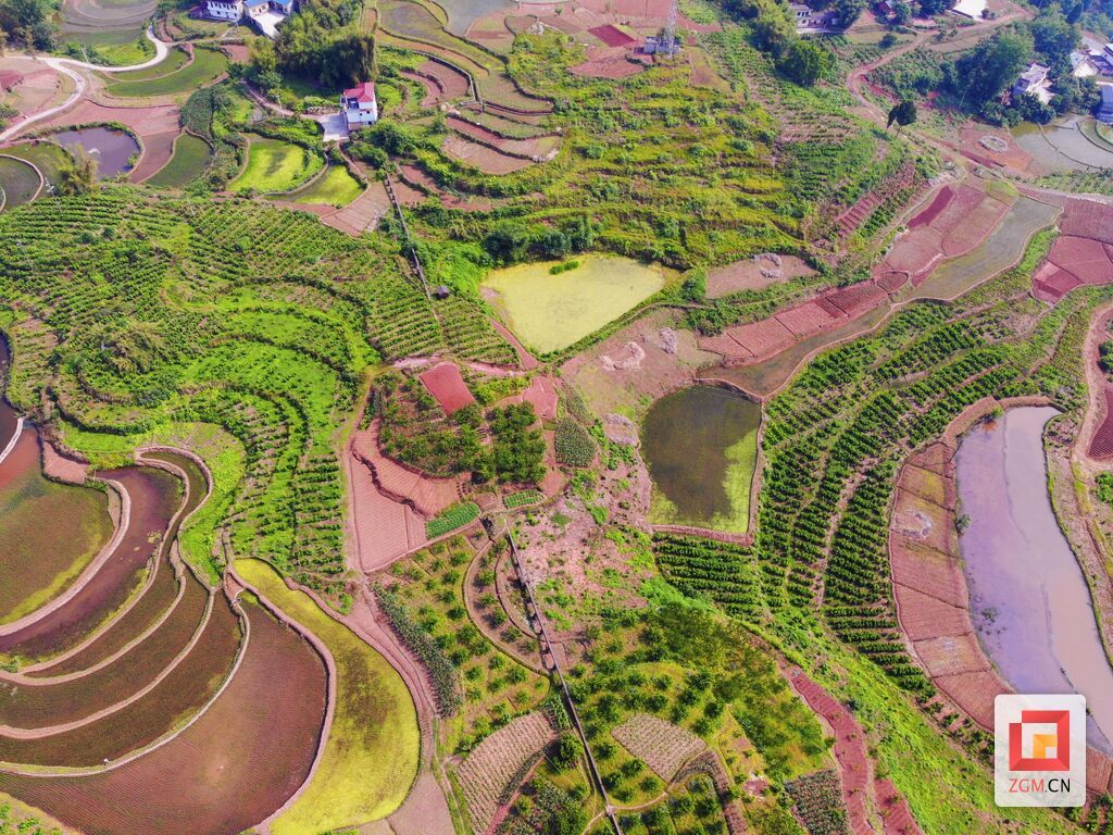 铁龙村“小桑叶”书写产业大文章.JPG