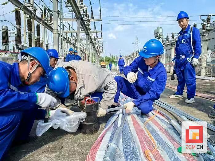 资料图片 由国网自贡供电公司供图 (5).jpg