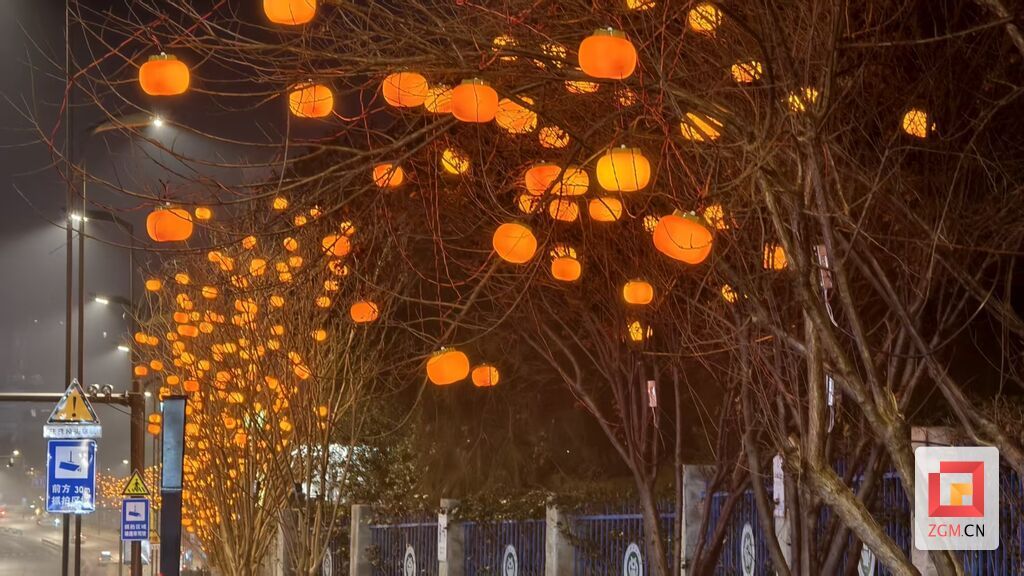 汇兴路道路两旁灯笼层峦叠嶂 记者罗祥瑞摄.jpg