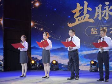 “盐博之夜” 点亮盐业学术盛会