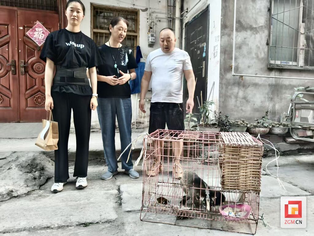 微信图片_20250610222720.jpg