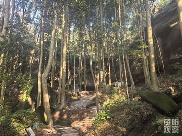 全国首例！一张规划如何管起川渝边界两个村？