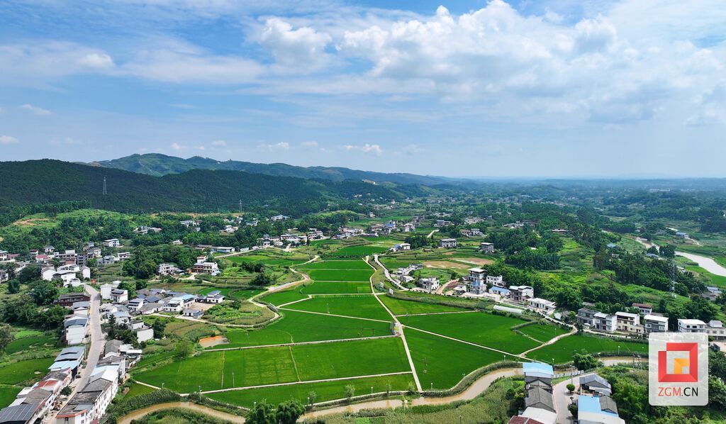 微信图片_20260701191123_5593_74.jpg