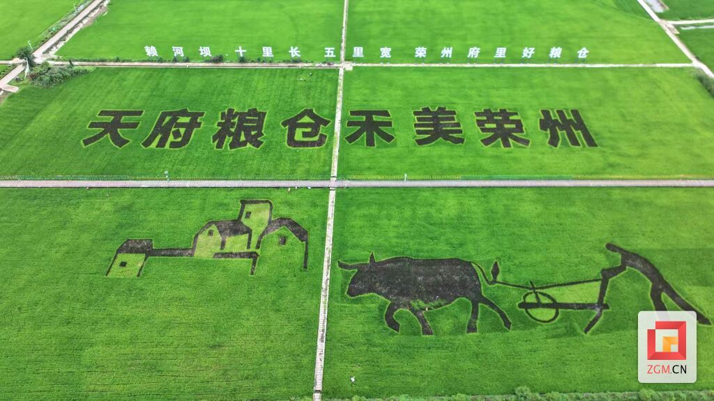 微信图片_20260624114137_2460_15.jpg