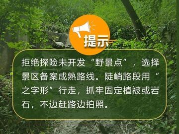 反向旅游存在隐患 这些“安全坑”不要踩→
