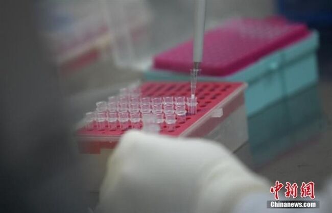资料图：核酸检测。 中新社发 武敏 摄