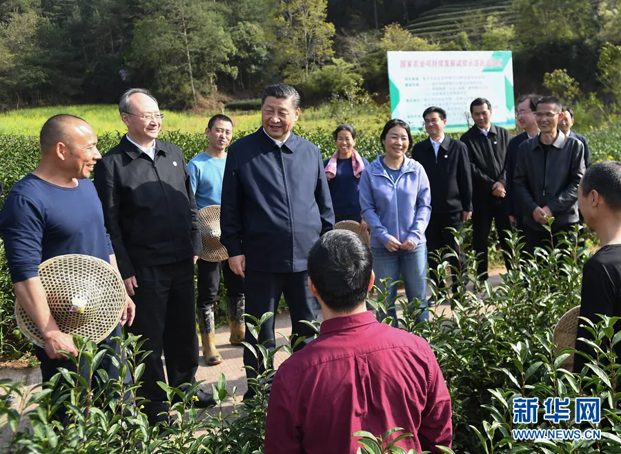 3月22日至25日，中共中央总书记、国家主席、中央军委主席习近平在福建考察。这是22日下午，习近平在南平武夷山市星村镇燕子窠生态茶园，同科技特派员、茶农亲切交流，了解当地茶产业发展情况。新华社记者 燕雁 摄设为缩略图