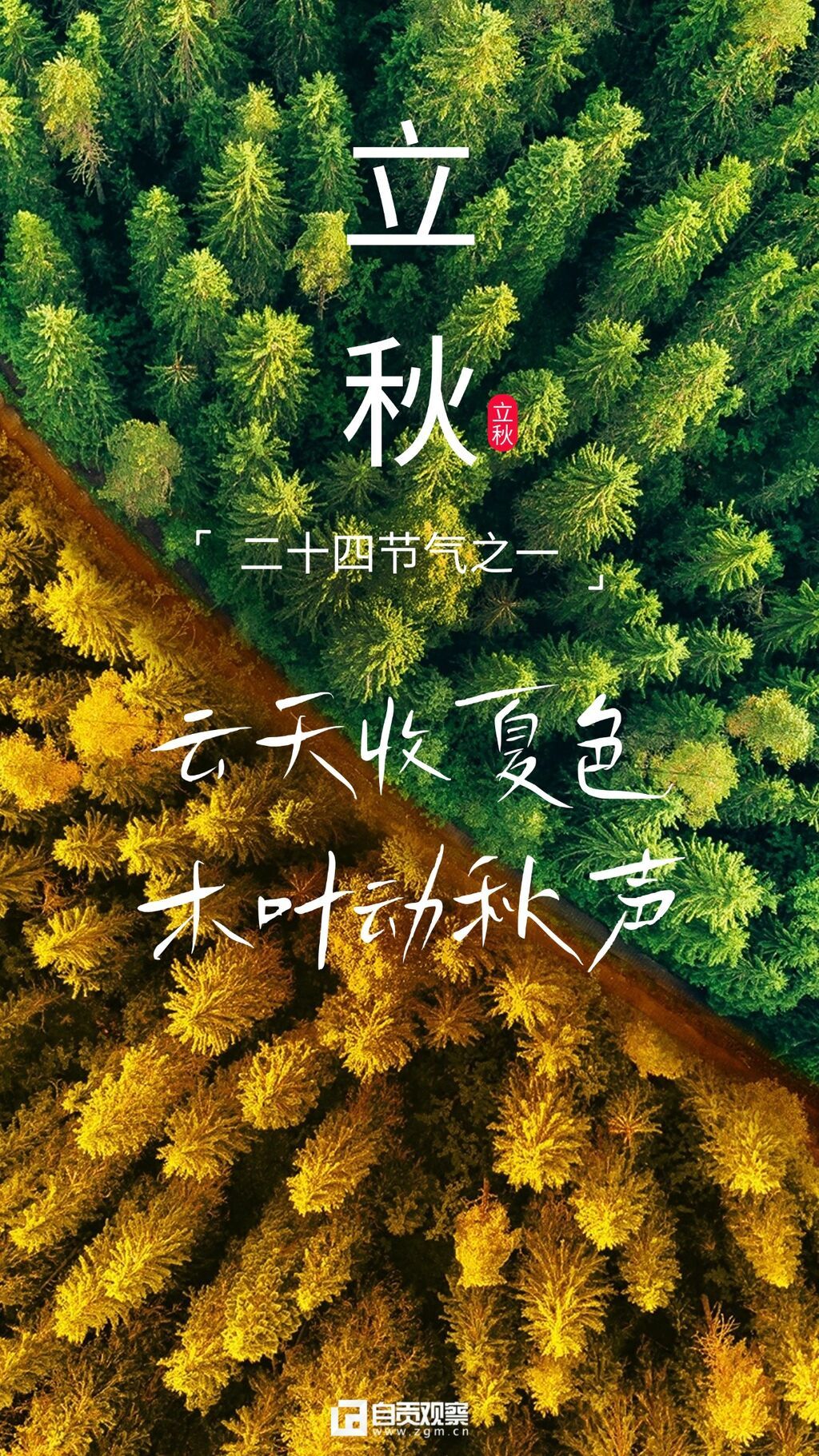 立秋节气祝福合成手机海报.jpg