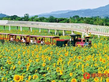 “粮”辰美景看中江，丘区沃野筑牢发展根基