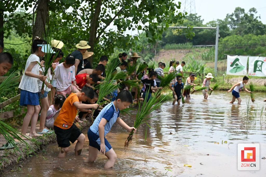微信图片_20260624140738_309_22.jpg