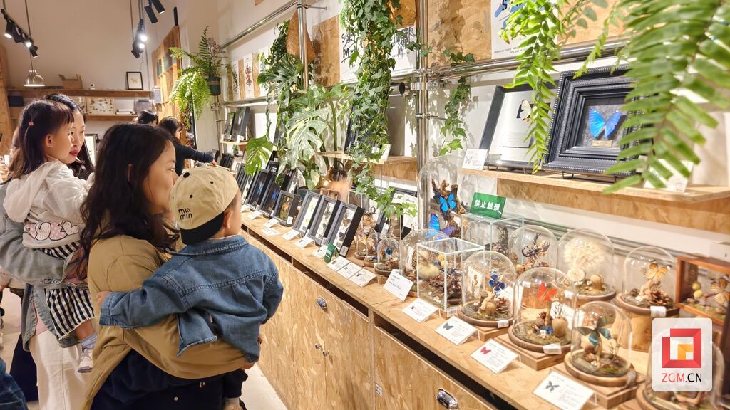 市民在自流井老街观看动植物标本 记者 罗祥瑞摄.jpg