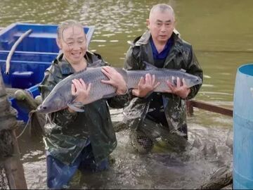 巴中清泉村：“一条鱼”串起产业链“一池水”富裕一方人