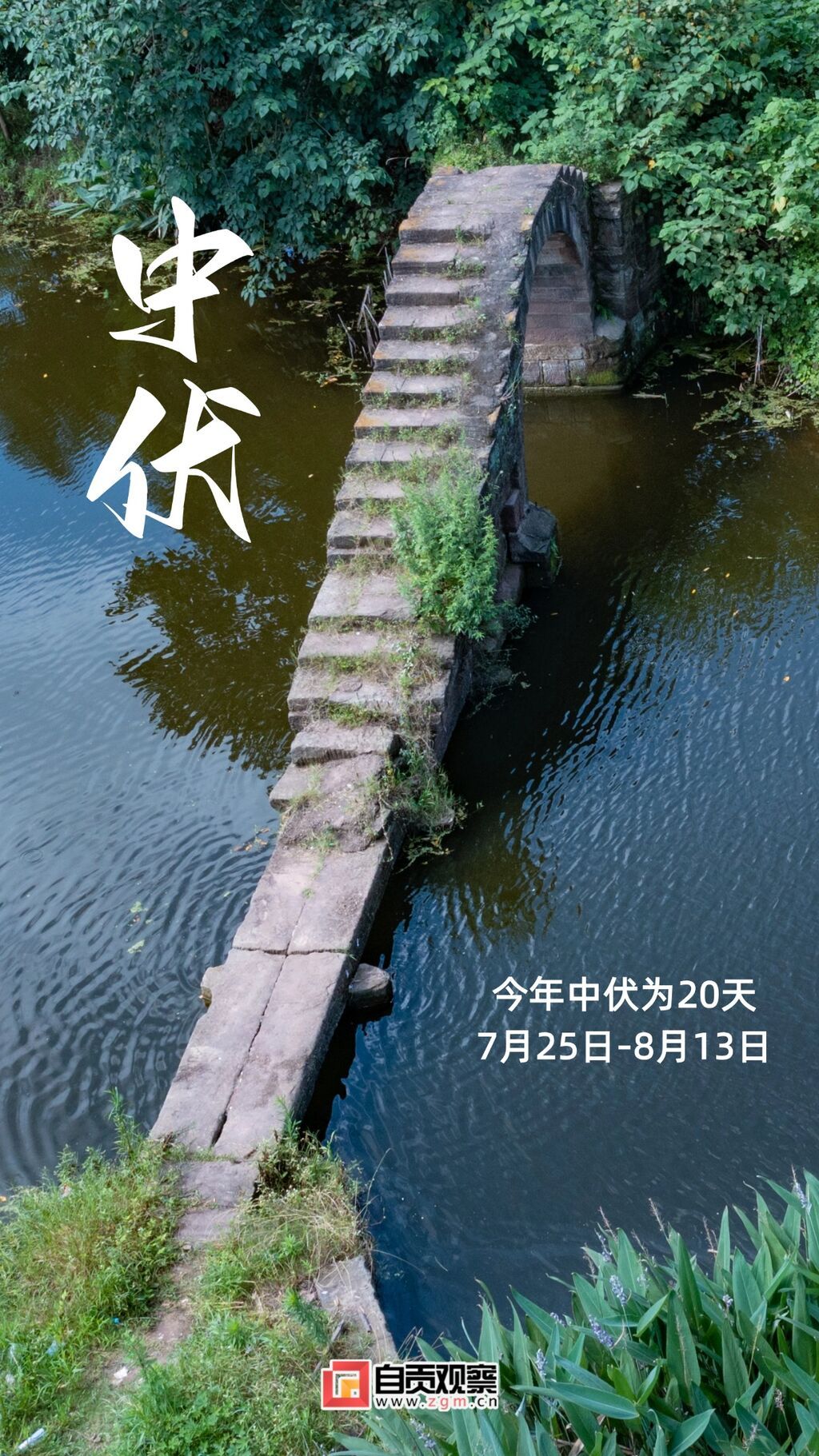 三伏天中伏祝福手機海報套裝.jpg