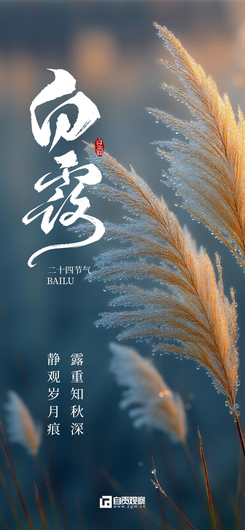 白露节气祝福实景感全屏竖版海报AIGC (1).jpg