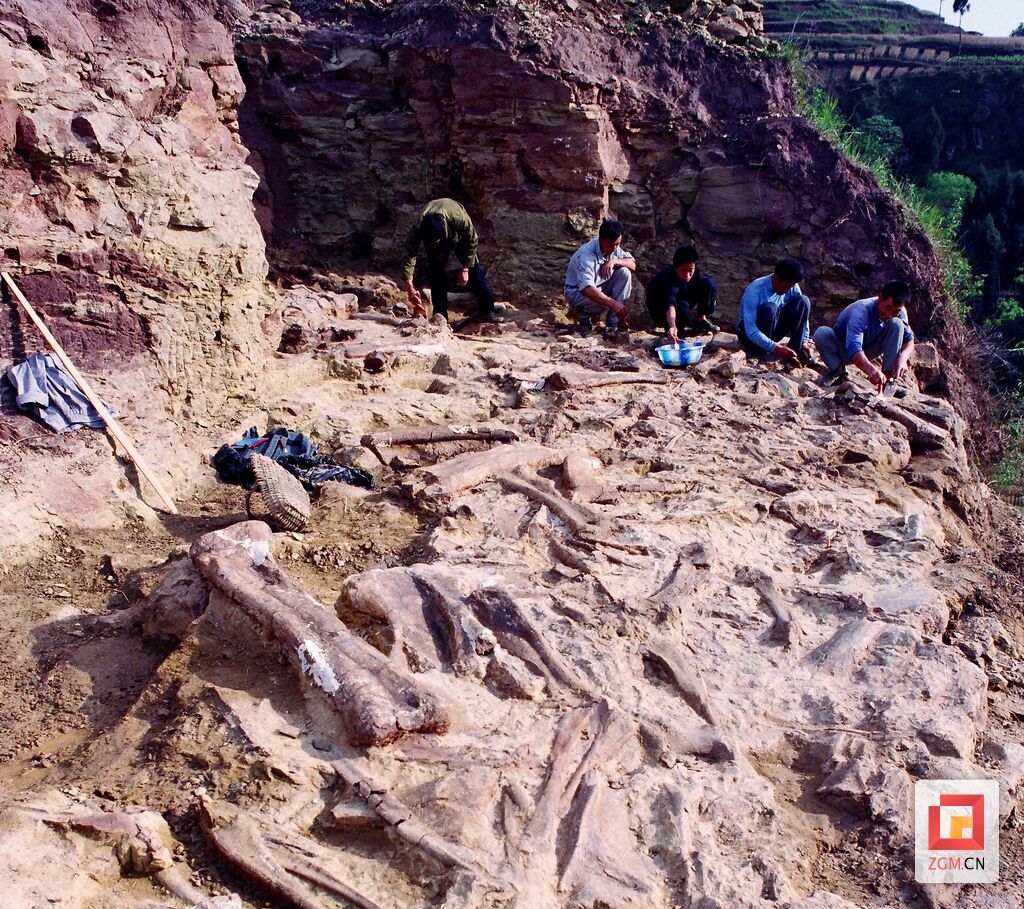 1999年榮縣青龍山恐龍化石群發(fā)掘現(xiàn)場(chǎng).jpg