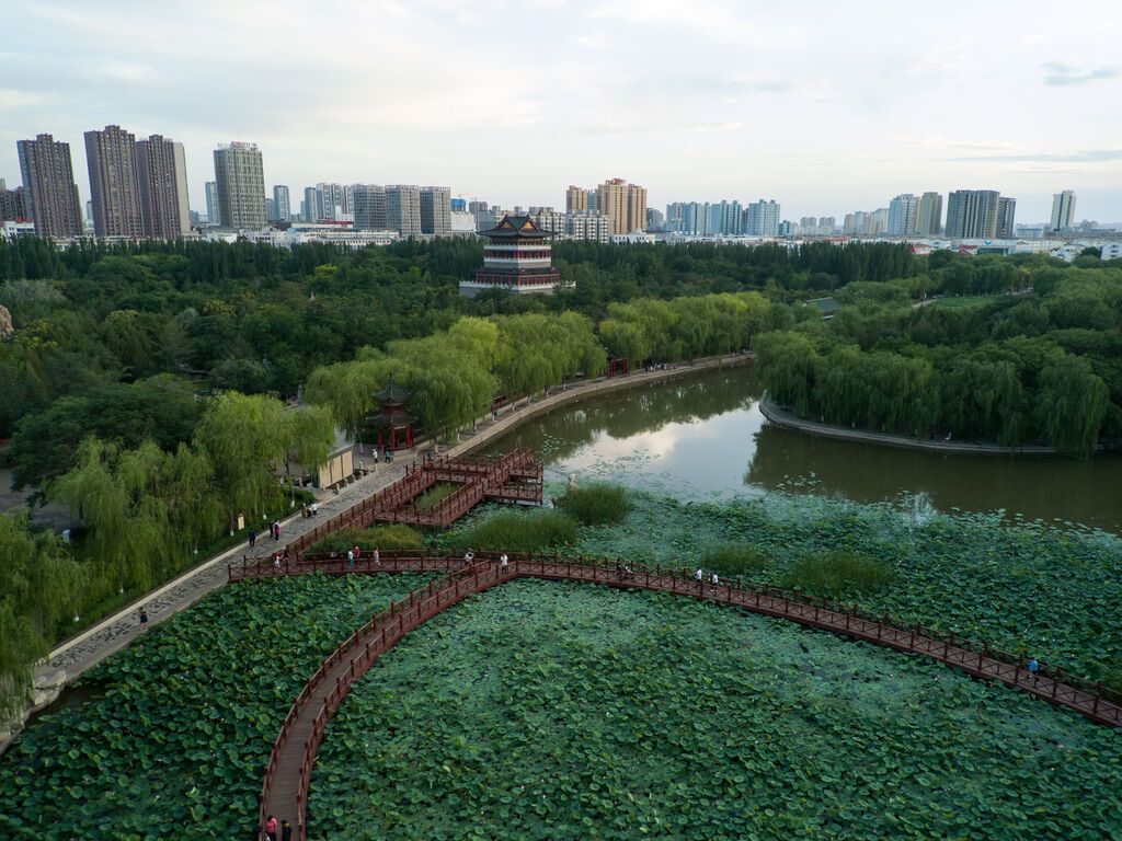 干燥的西北小城成为国家园林城市。乌海日报社记者王超 供图