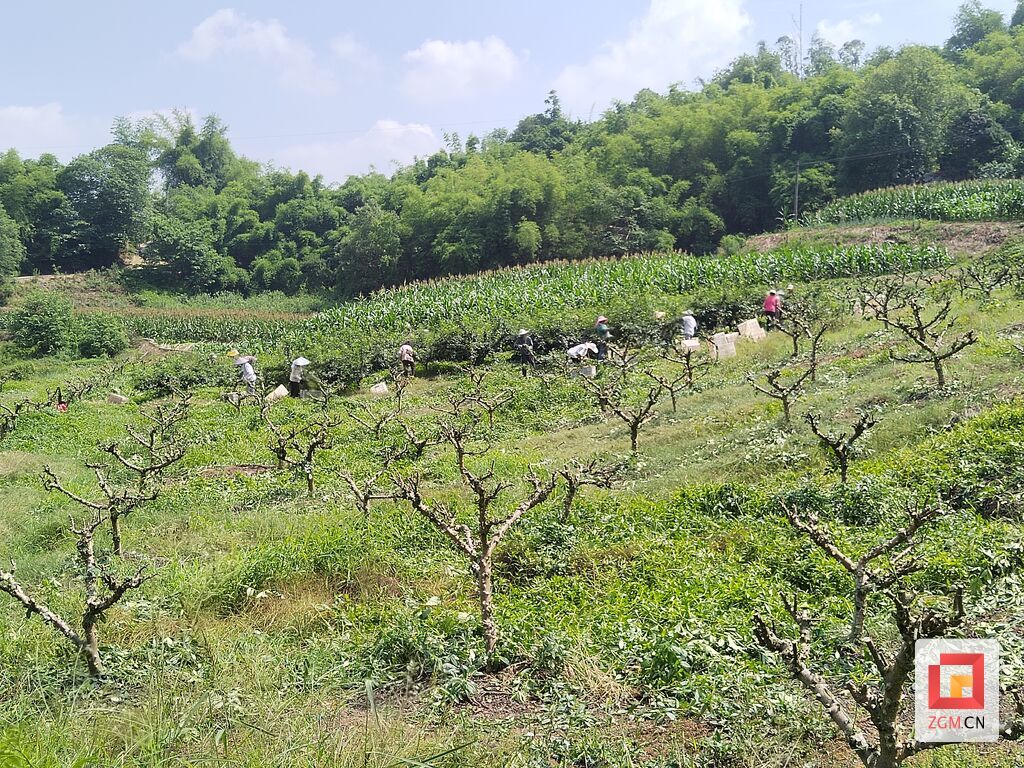 微信圖片_20250709230121.jpg