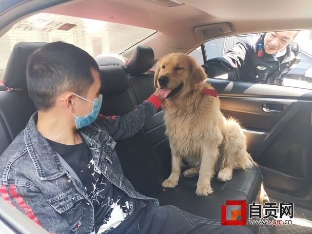 QQ图片20200319175319.jpg