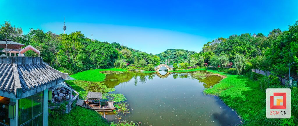 湖面睡莲初绽，虹桥卧波，画舫临水，漫山绿意与亭台相映成趣，勾勒出一幅“山、水、桥、荷”相融的生态画卷 记者 宋姿熠 摄.jpg