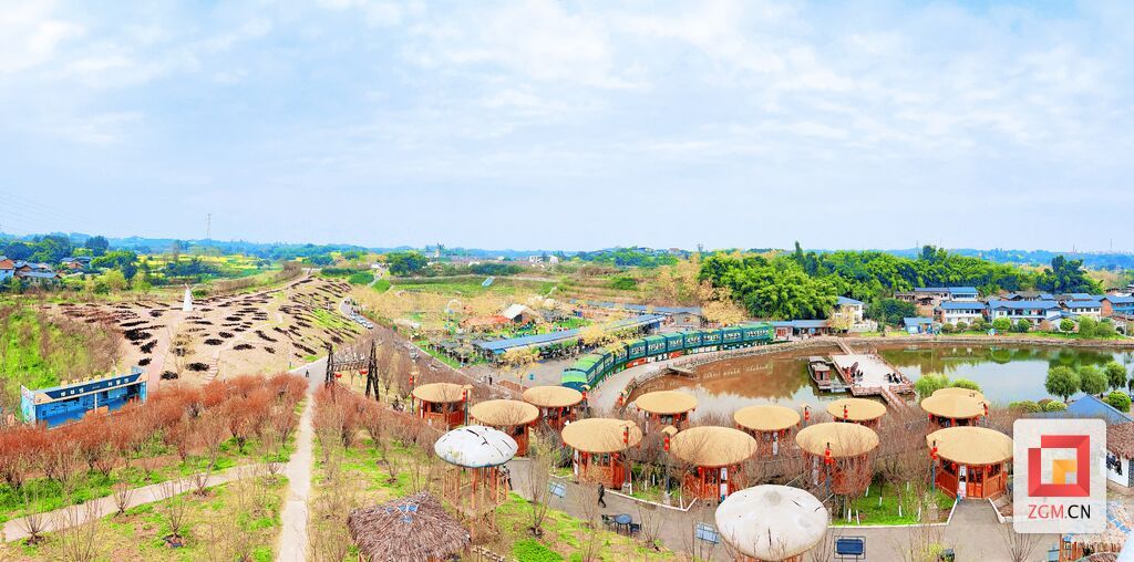 春日时节五彩荷园景致如画 记者 宋姿熠 摄.jpg