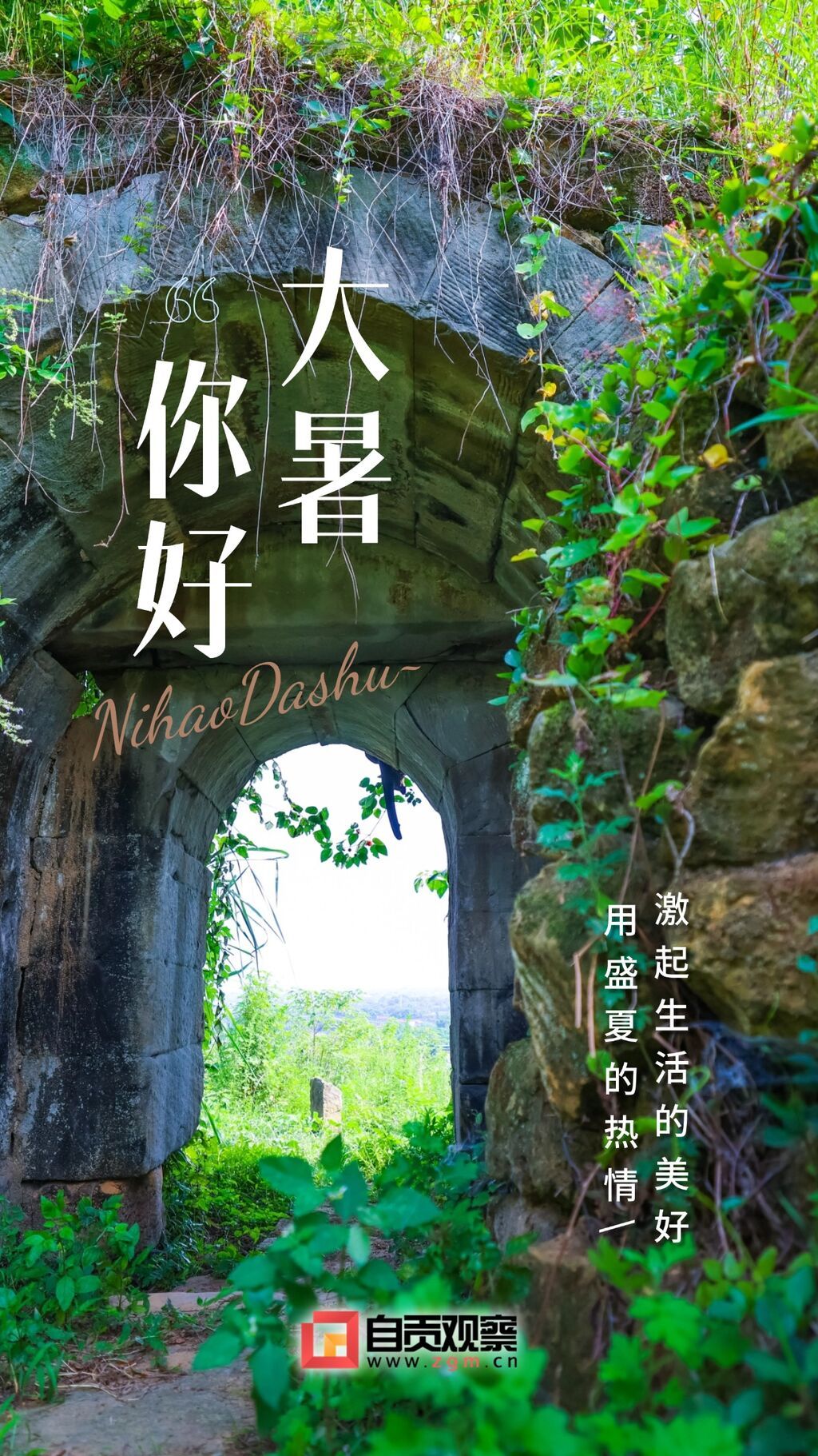 大暑企業(yè)商務(wù)玻璃風(fēng)節(jié)氣祝福全屏豎版海報(bào) (1).jpg