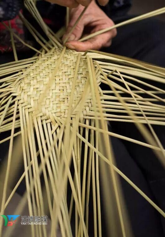 草编01.jpg