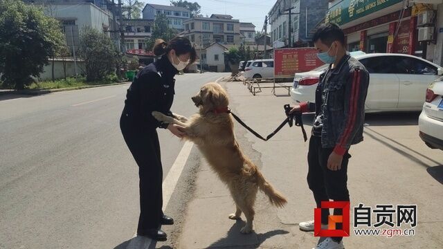 QQ图片20200319175251.jpg