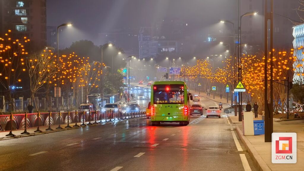 汇兴路道路两旁灯笼美不胜收 记者罗祥瑞摄.jpg