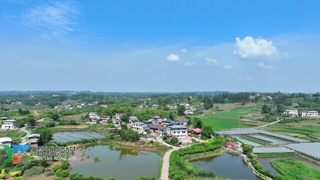 DJI_0784.JPG