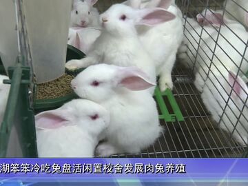 自贡新闻｜唤醒乡村“沉睡家底” 富顺县举行“沿着釜溪看发展 盐都好风物”专场新闻发布会