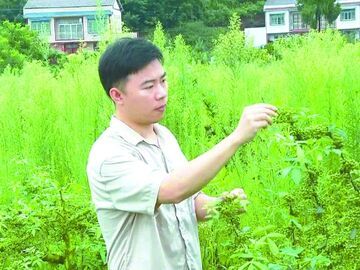 8个人、3间工作室，南充这些“土专家”凭手艺上了省级名单