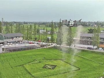 央媒看四川丨四川成都青白江区弥牟镇狮子村：田间智慧耕耘 村里业态兴旺