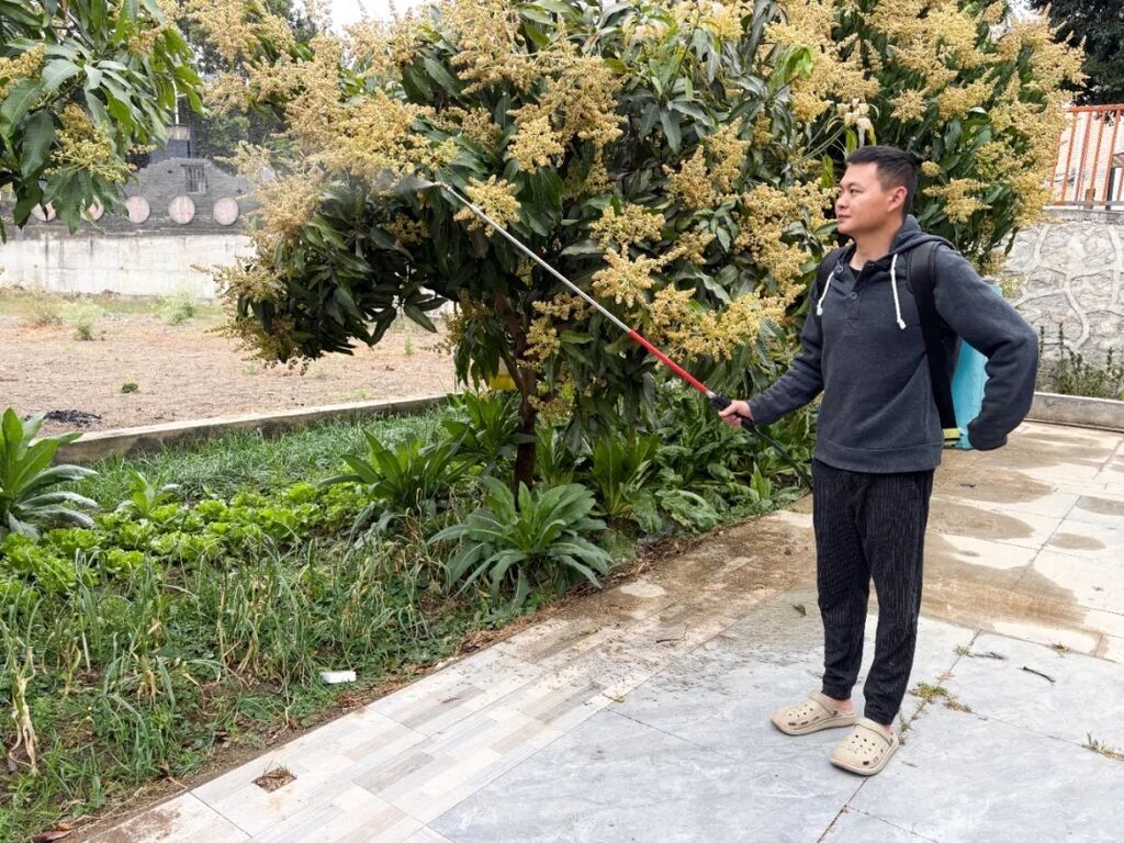 插入的图片