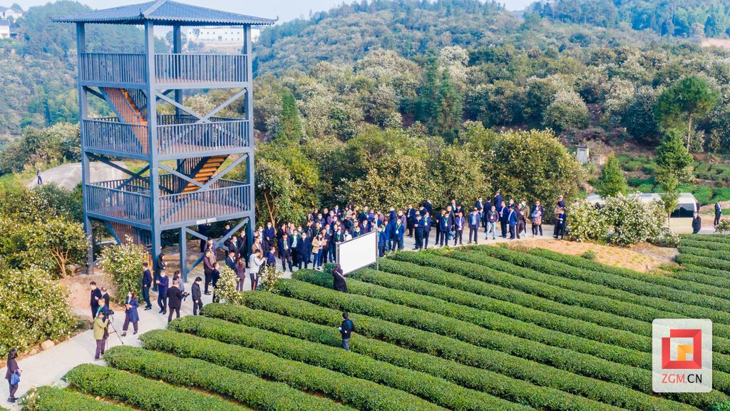 DJI_0054.jpg