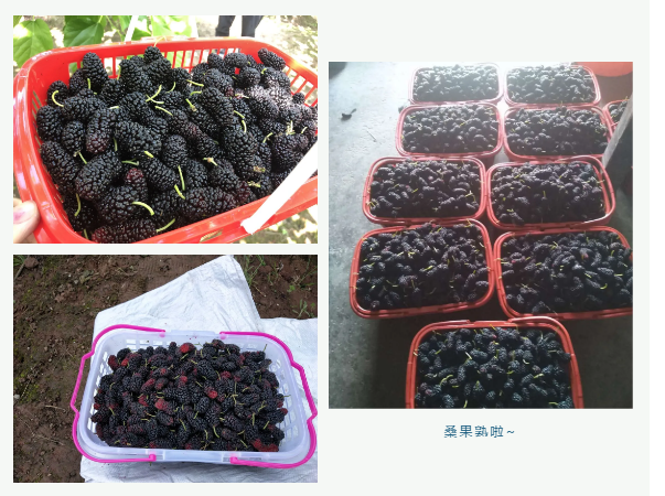 图片4.png