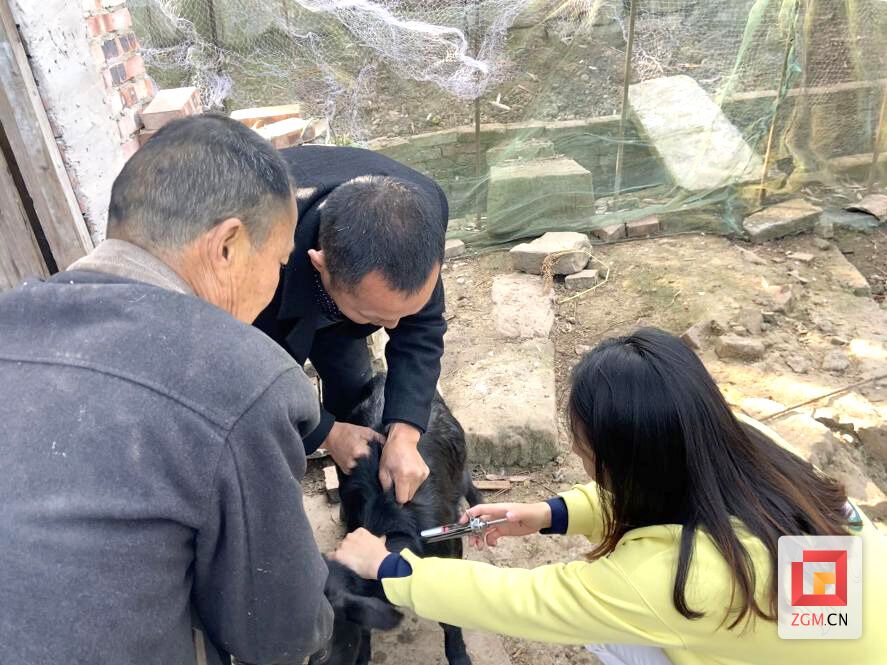 下载图片 (2).jpg