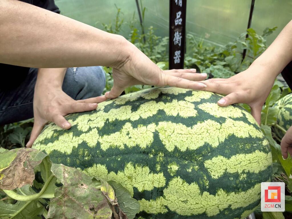 QQ圖片20240608213721.jpg