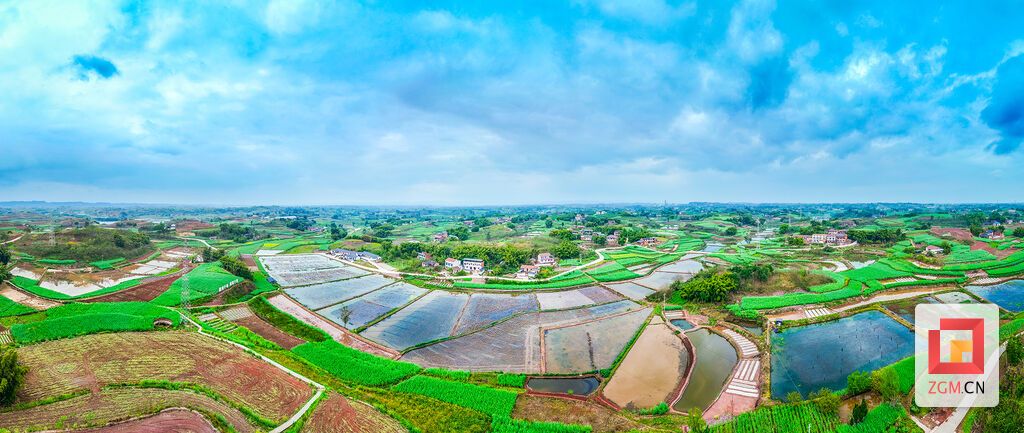 田成方，水成网，平坦村高标准种养田尽显现代农业生机 记者 宋姿熠 摄.jpg