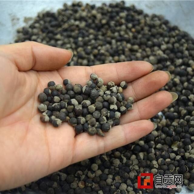 資料圖片（蔓荊子）.jpg