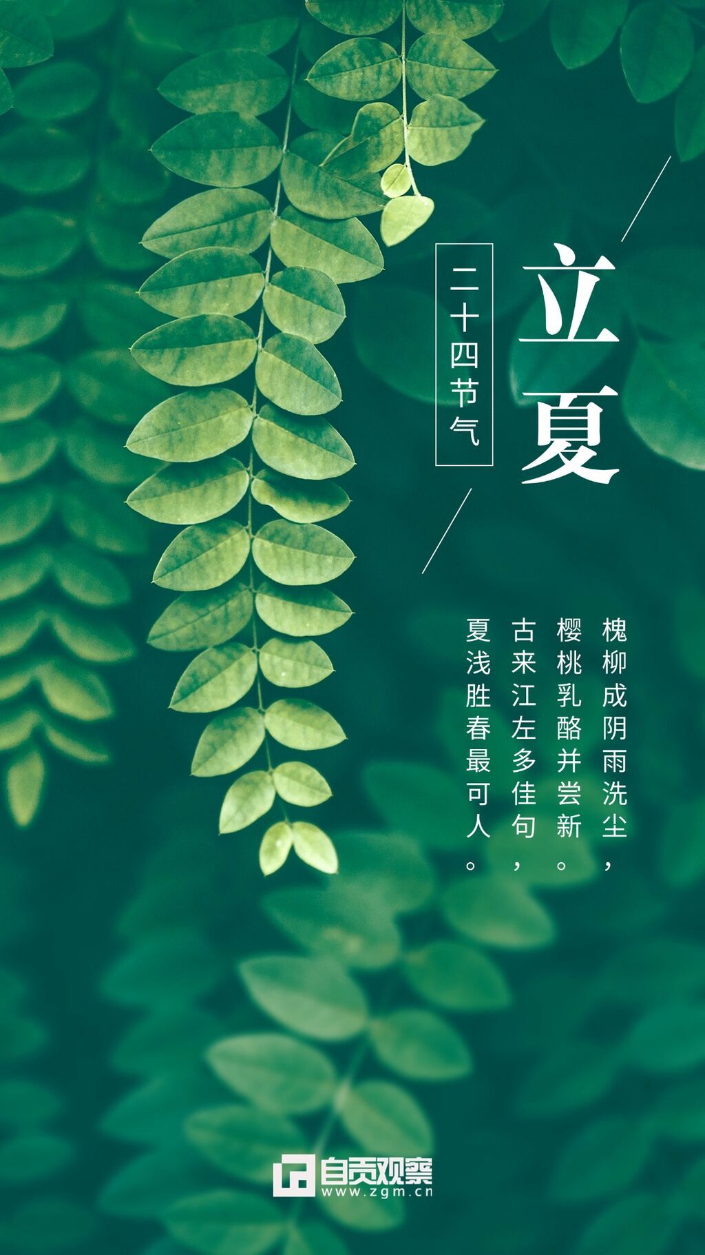 立夏節(jié)氣實景曬圖祝福問候海報.jpg