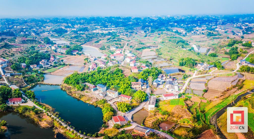 规整的鱼塘和整洁的村舍相映成趣 记者 宋姿熠 摄.jpg